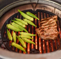 Kamado Joe Cast Iron Sear Grate -The Bastard Winkel image 1029