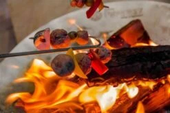 Petromax Campfire Skewer Gebogen (2 Stuks) -The Bastard Winkel image 1046