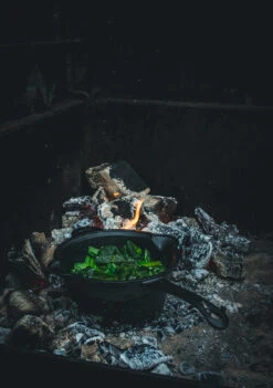 The Windmill Sauce Pan -The Bastard Winkel image 1190