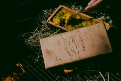 Römertopf Kooksteen Brick Zwart -The Bastard Winkel image 2251