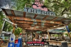 The Shedd Original Southern Sweet BBQ Sauce 15oz -The Bastard Winkel image 55