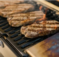 Masterbuilt Portable Charcoal Grill -The Bastard Winkel image 647