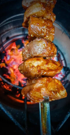 Churrasco Forged Spies V-vorm 60cm -The Bastard Winkel image 663